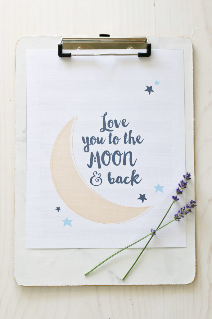 Love You To The Moon 